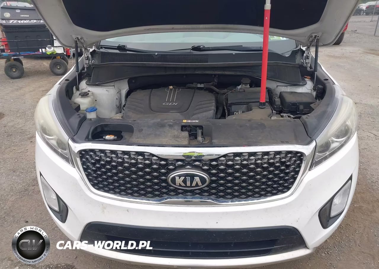 2016 Kia Sorento 3.3L Sx VIN:5XYPK4A54GG047966 - 6