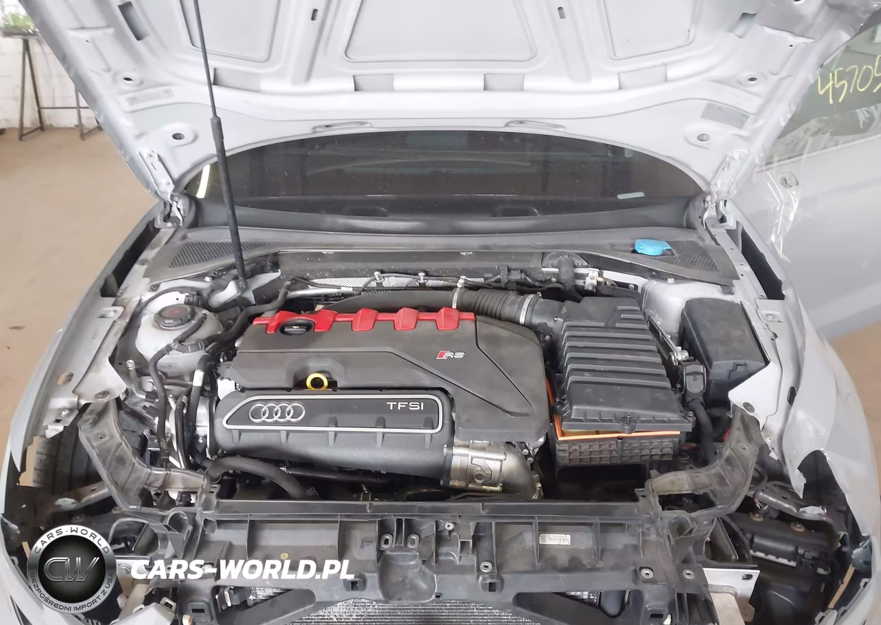2020 Audi Rs 3 Tfsi Quattro S Tronic VIN:WUABWGFF9LA901817 - 10