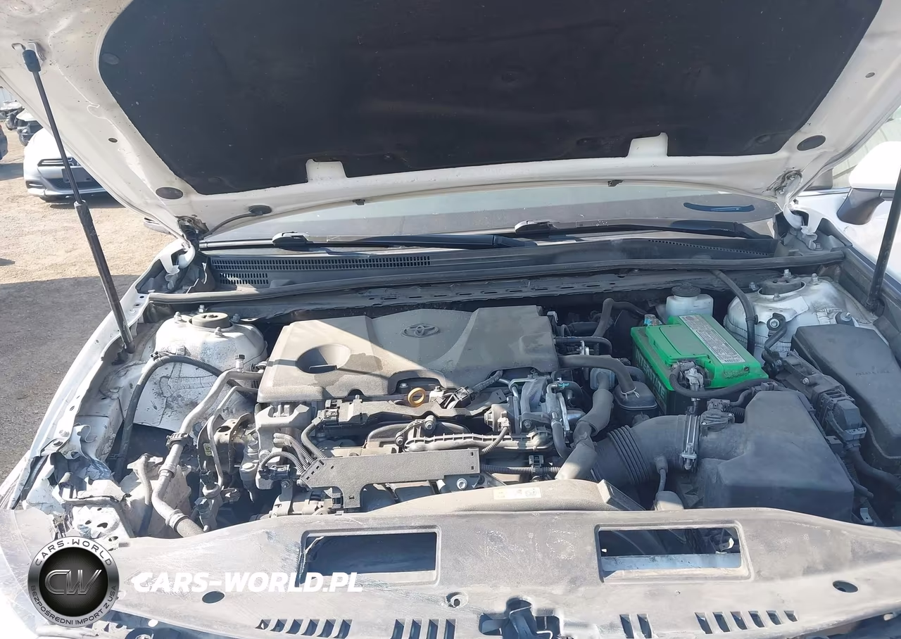 2019 Toyota Camry Le VIN:4T1B11HK1KU273666 - 10