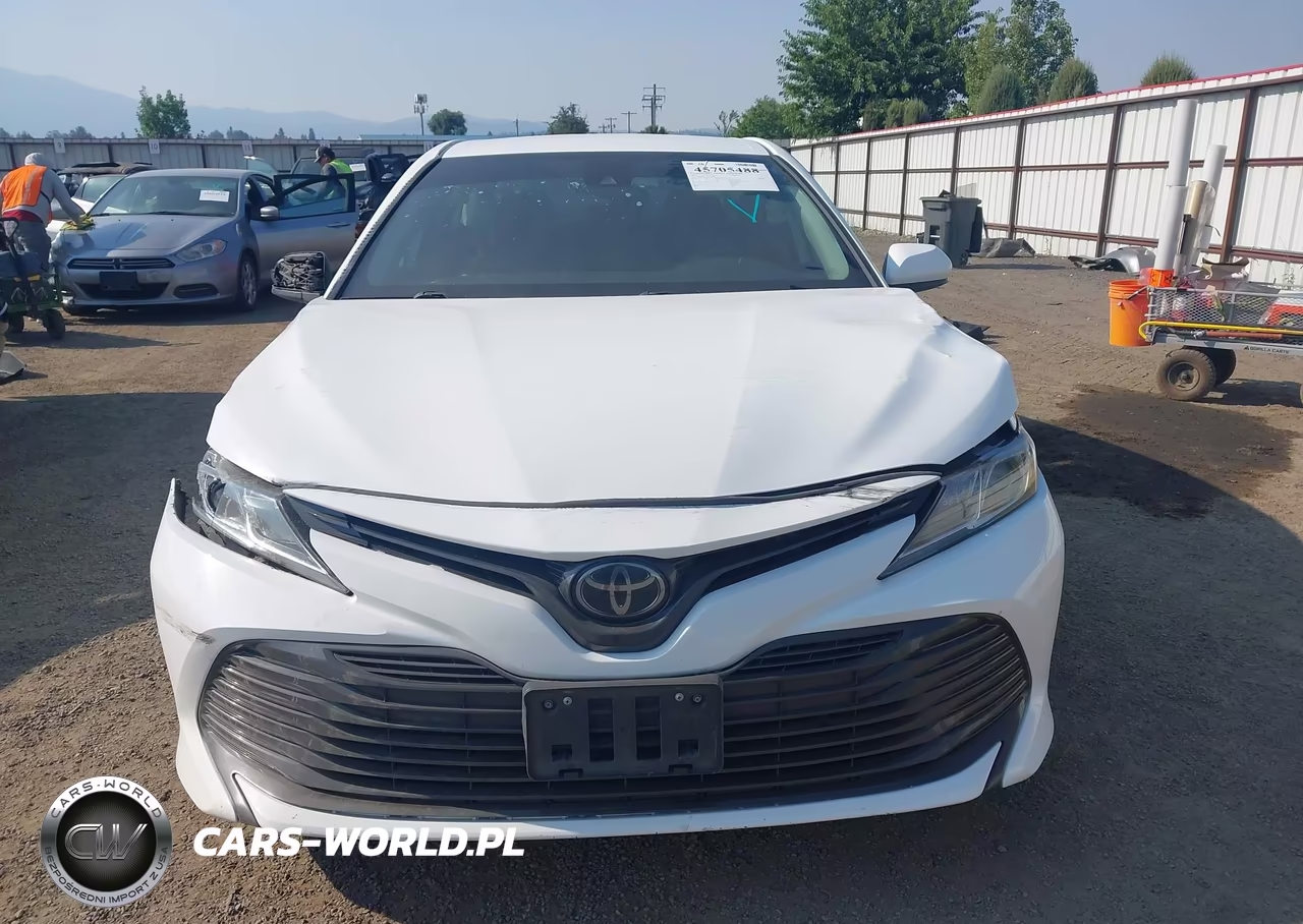 2019 Toyota Camry Le VIN:4T1B11HK1KU273666 - 12