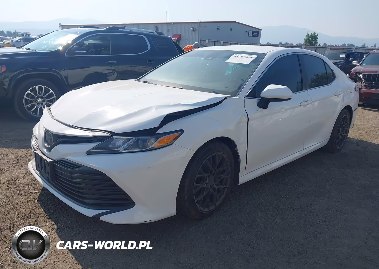 2019 Toyota Camry Le VIN:4T1B11HK1KU273666 - 2