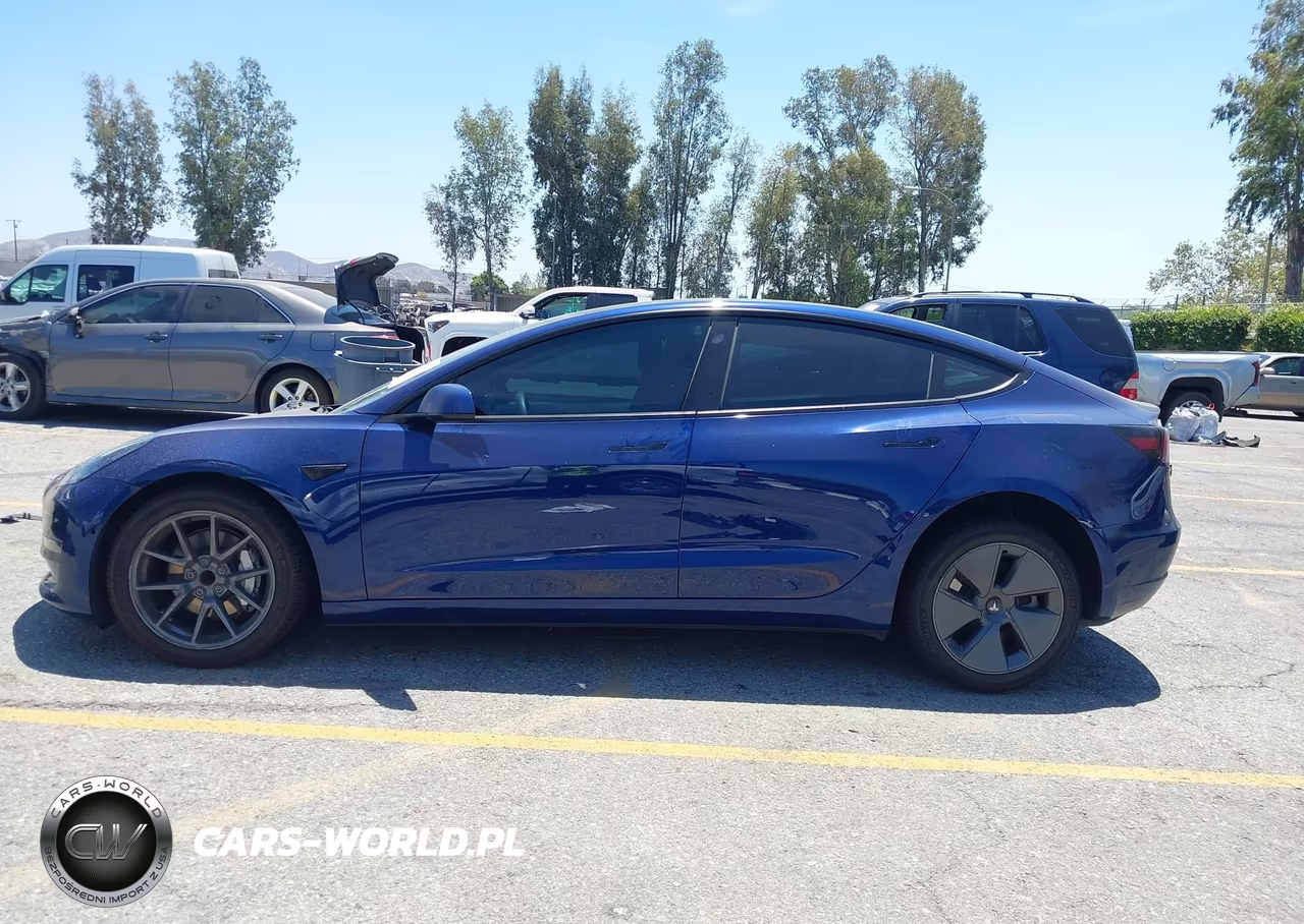 2022 Tesla Model 3 Rear-Wheel Drive VIN:5YJ3E1EA1NF358416 - 15