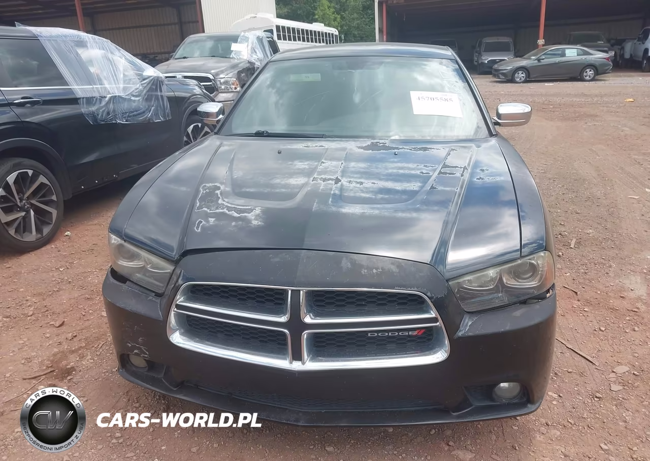 2013 Dodge Charger R-T VIN:2C3CDXCT2DH601836 - 11