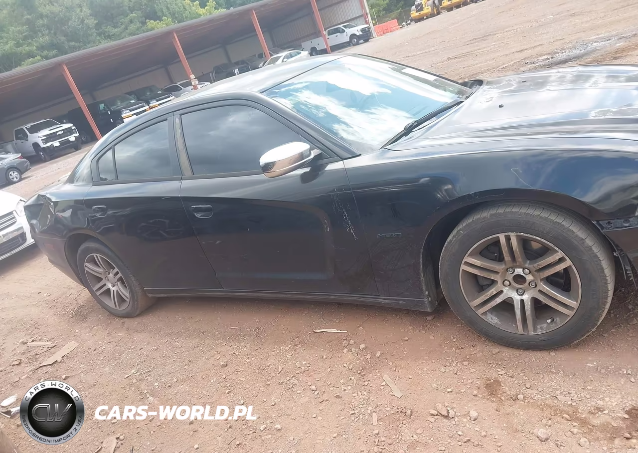 2013 Dodge Charger R-T VIN:2C3CDXCT2DH601836 - 12