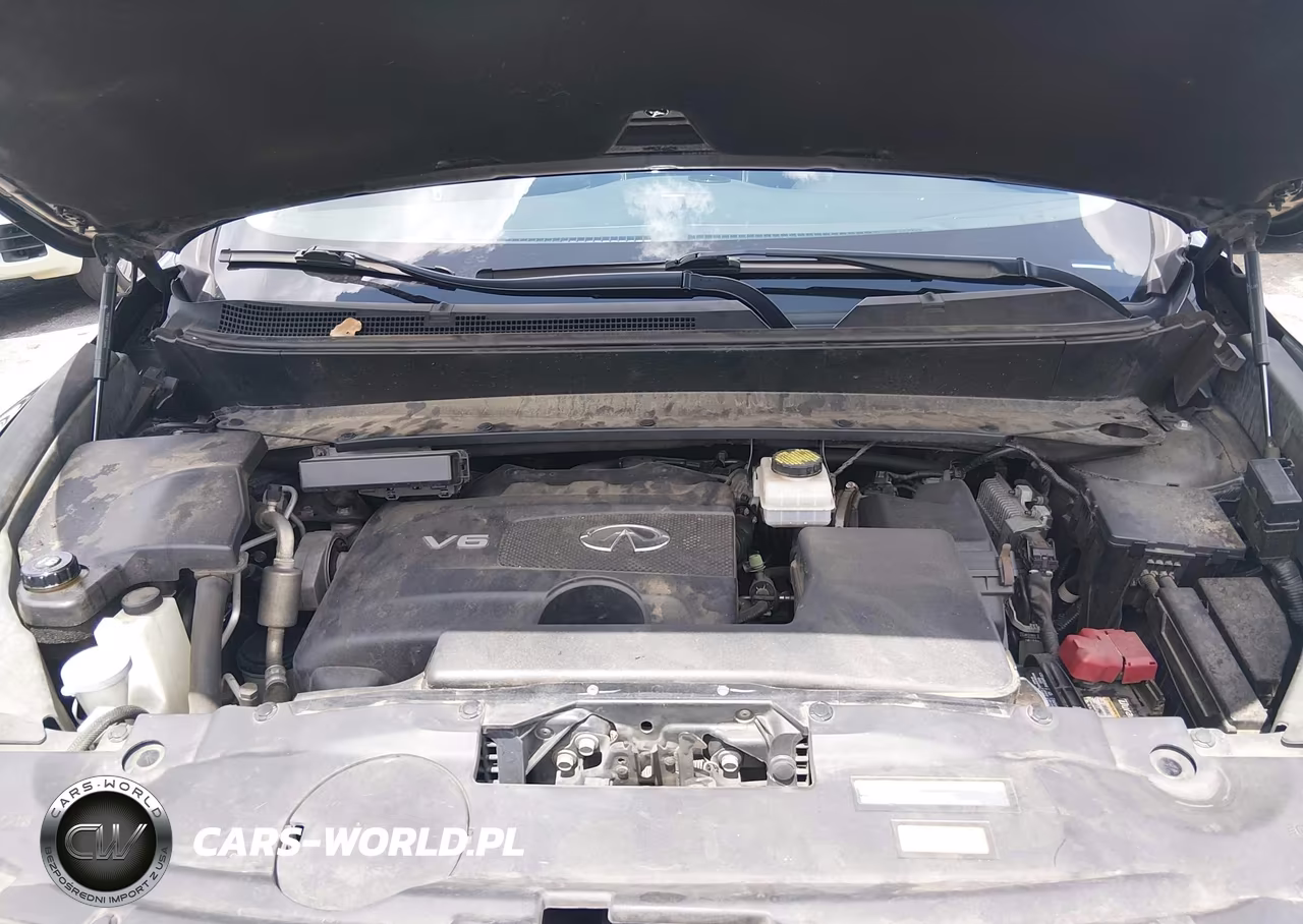 2019 Infiniti Qx60 Luxe VIN:5N1DL0MM7KC509733 - 10