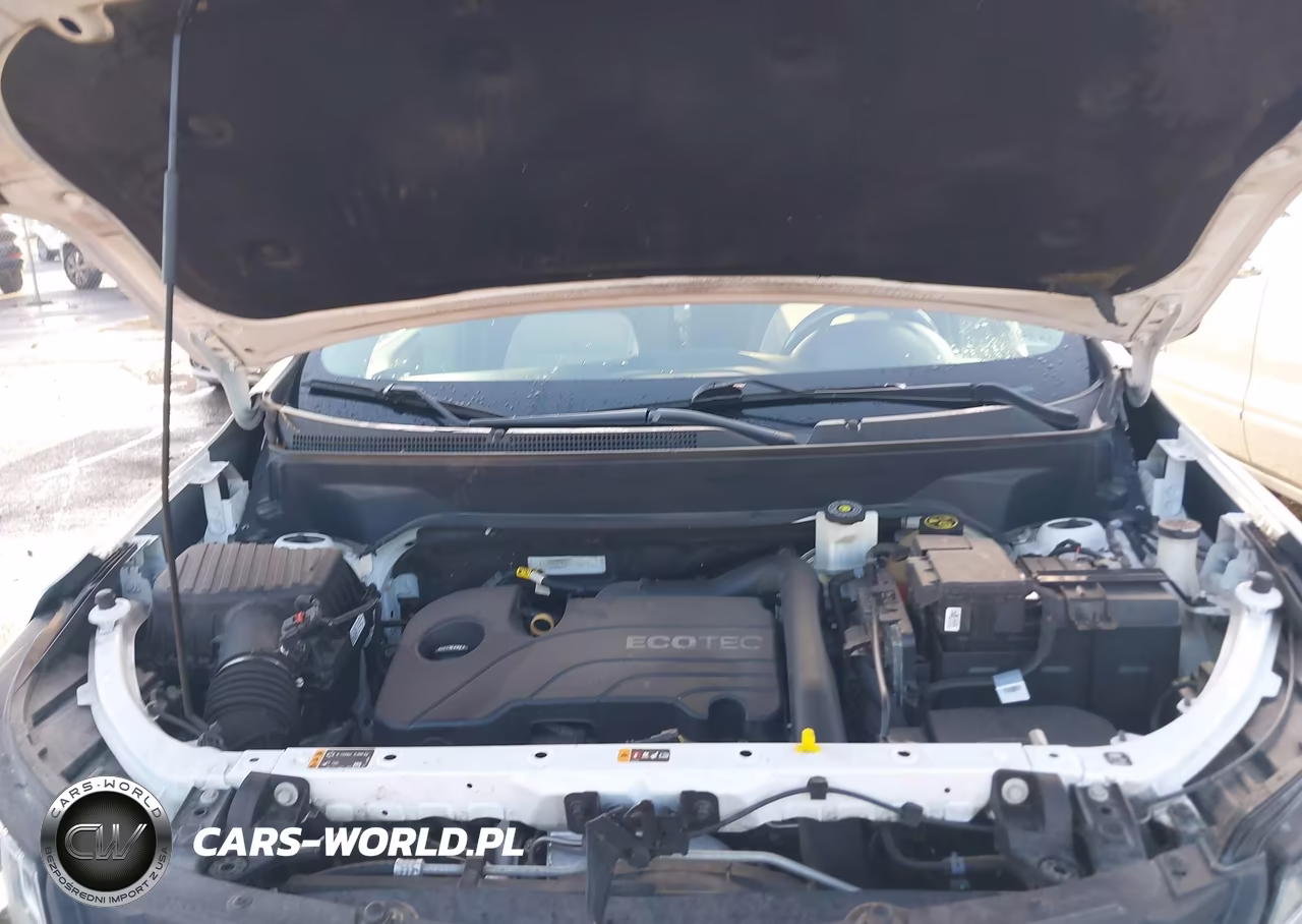 2019 Chevrolet Equinox Lt VIN:2GNAXJEV3K6145657 - 10