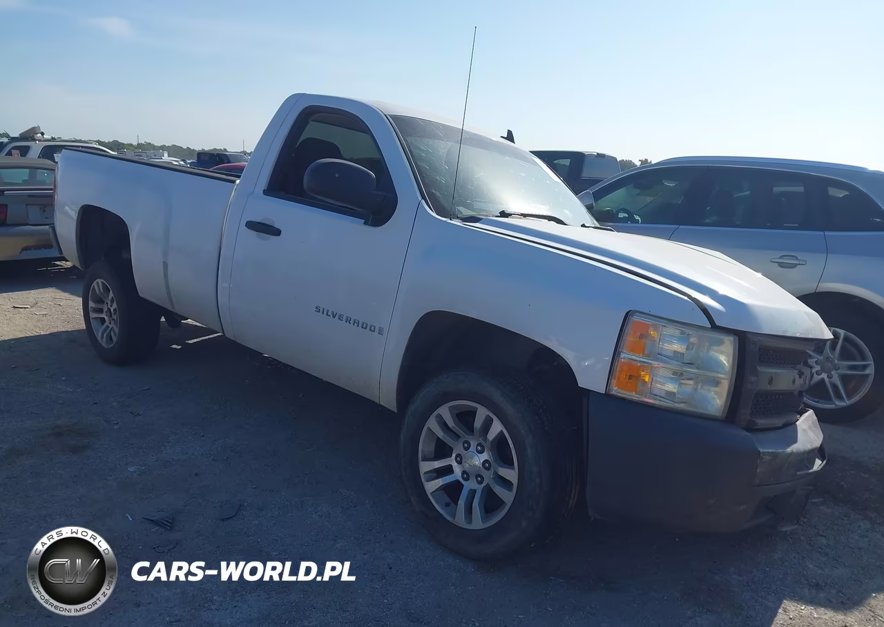 2009 Chevrolet Silverado 1500 Work Truck