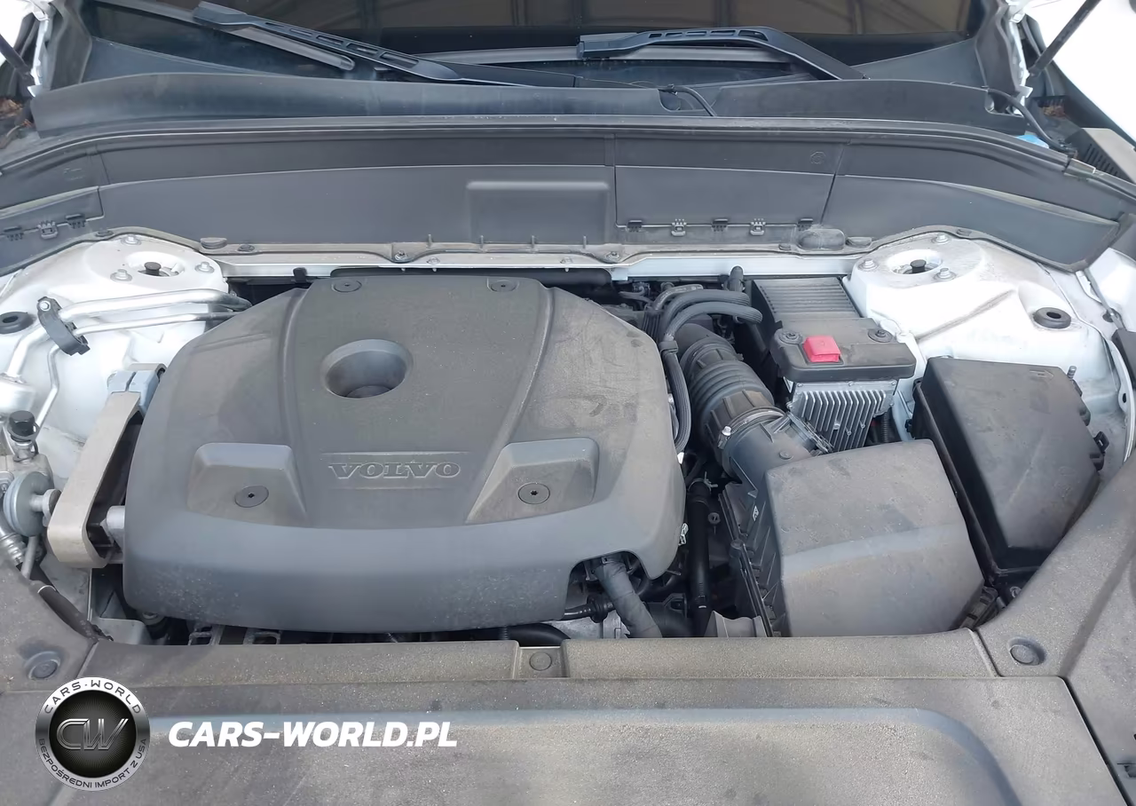 2019 Volvo Xc90 T6 Momentum VIN:YV4A22PK3K1438927 - 10