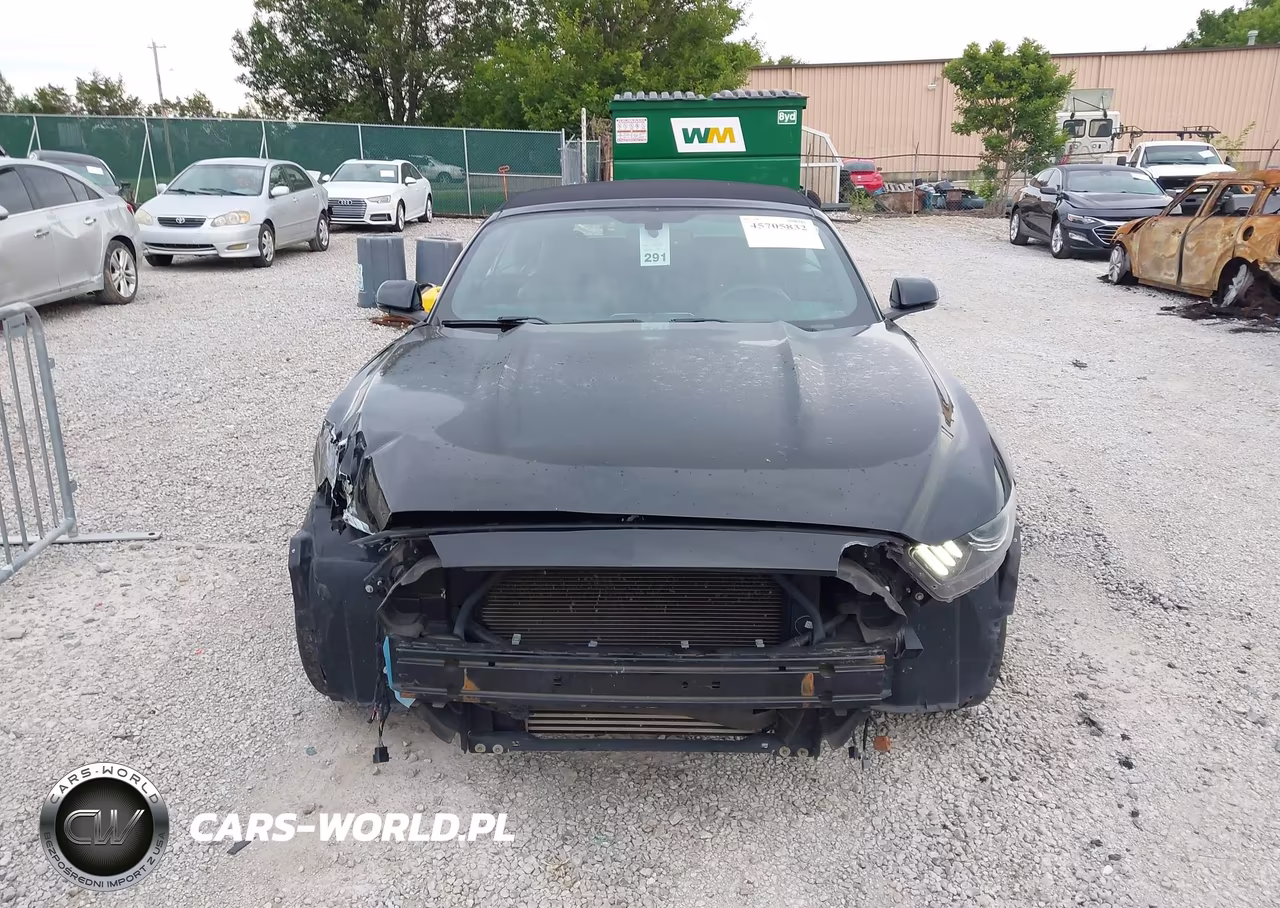 2017 Ford Mustang Ecoboost Premium VIN:1FATP8UH6H5307538 - 13