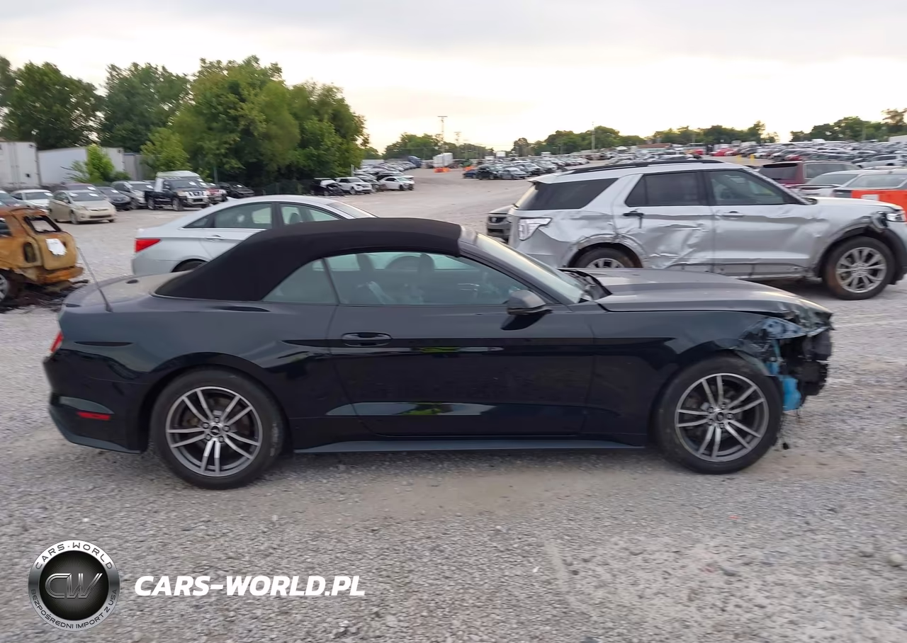 2017 Ford Mustang Ecoboost Premium VIN:1FATP8UH6H5307538 - 14