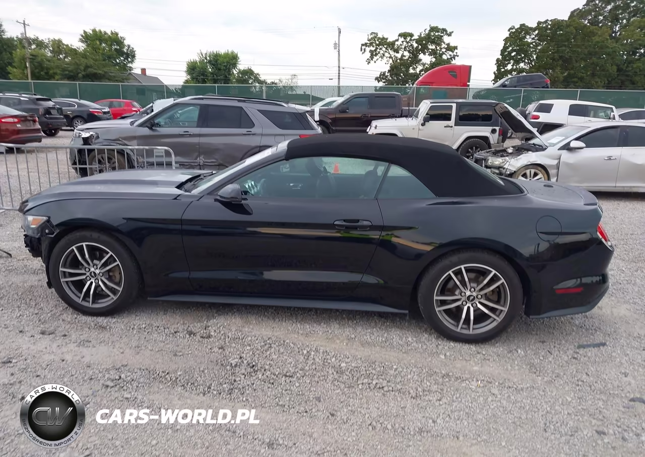 2017 Ford Mustang Ecoboost Premium VIN:1FATP8UH6H5307538 - 15