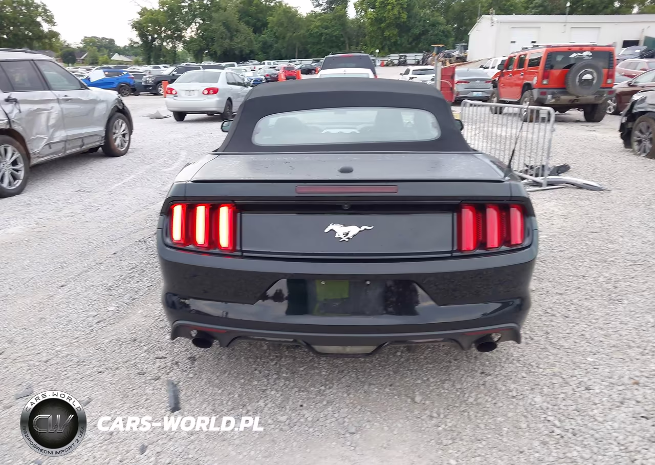 2017 Ford Mustang Ecoboost Premium VIN:1FATP8UH6H5307538 - 17