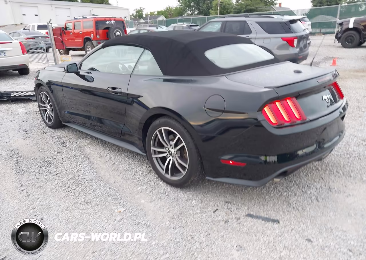2017 Ford Mustang Ecoboost Premium VIN:1FATP8UH6H5307538 - 3