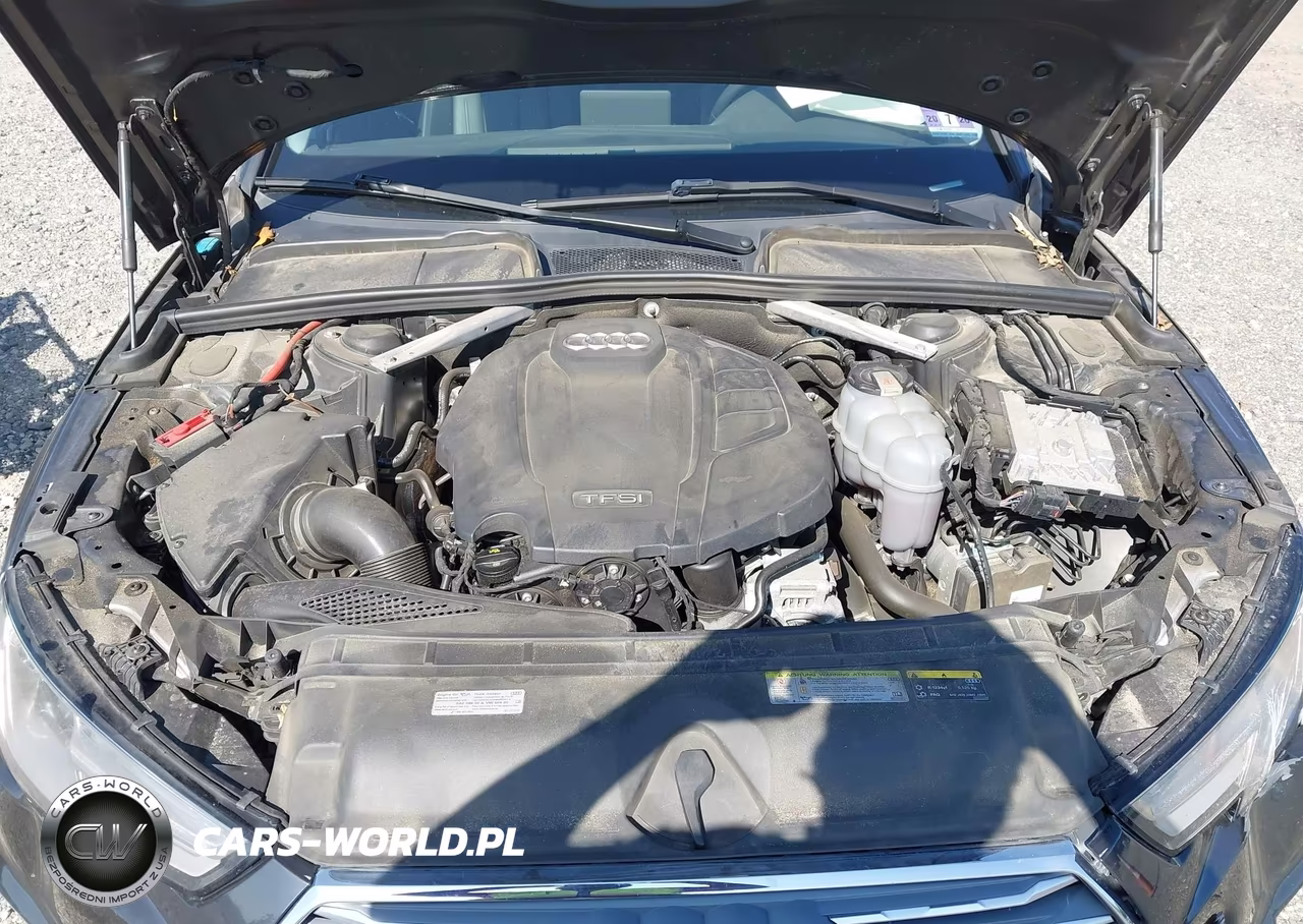 2019 Audi A4 45 Premium VIN:WAUDNAF4XKN013067 - 10