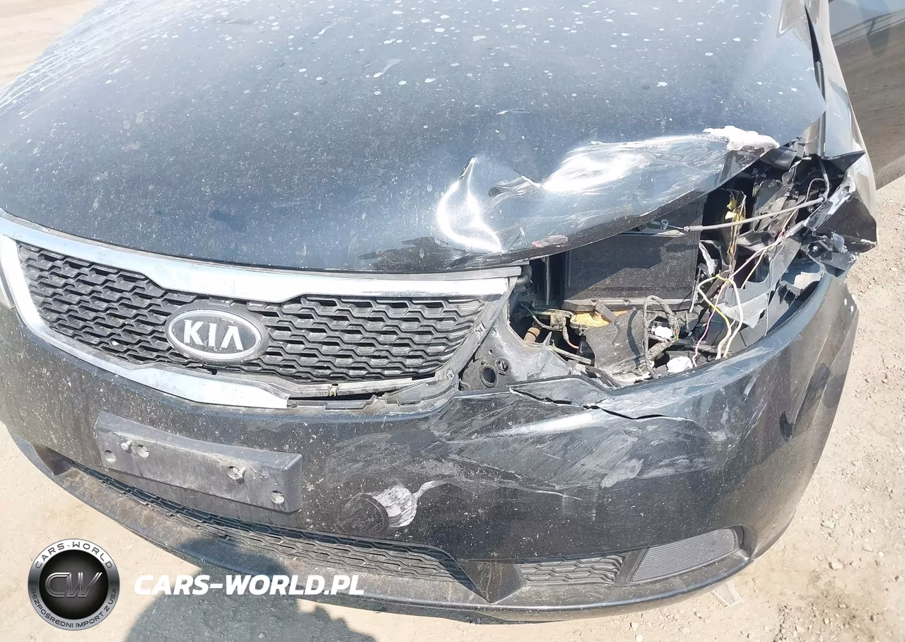 2013 Kia Forte Ex VIN:KNAFU4A27D5712386 - 14