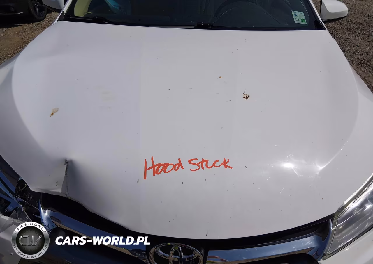 2017 Toyota Camry Xle VIN:4T1BF1FKXHU762936 - 10