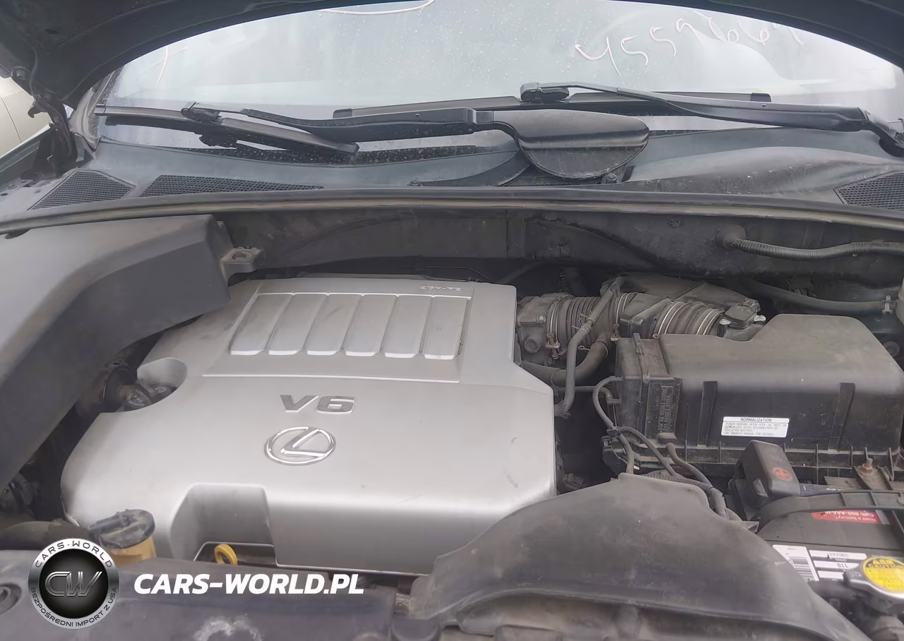 2007 Lexus Rx 350 VIN:2T2HK31U87C043092 - 10
