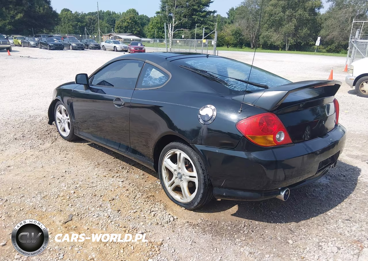 2004 Hyundai Tiburon Gt V6-Gt V6 Special Edition VIN:KMHHN65F74U113667 - 3