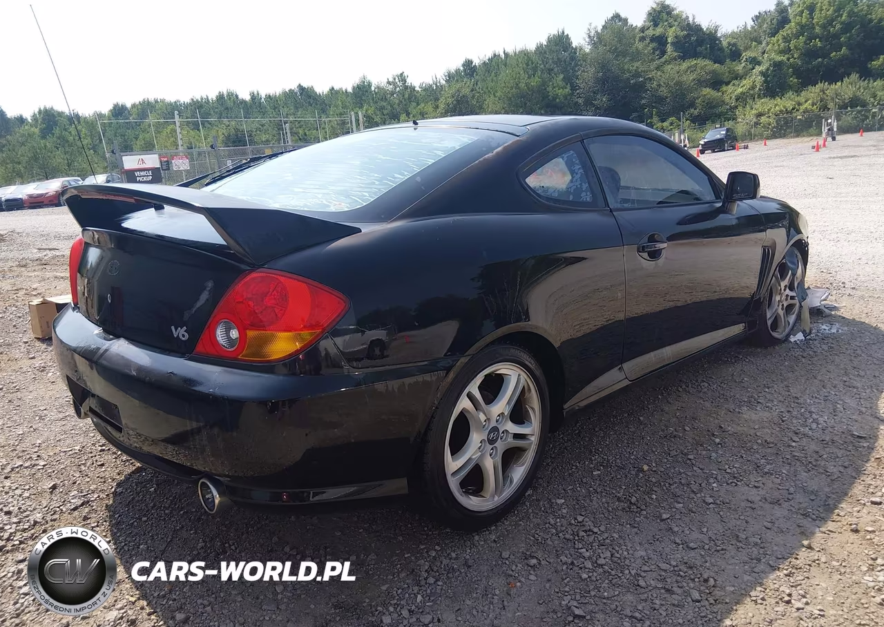 2004 Hyundai Tiburon Gt V6-Gt V6 Special Edition VIN:KMHHN65F74U113667 - 4