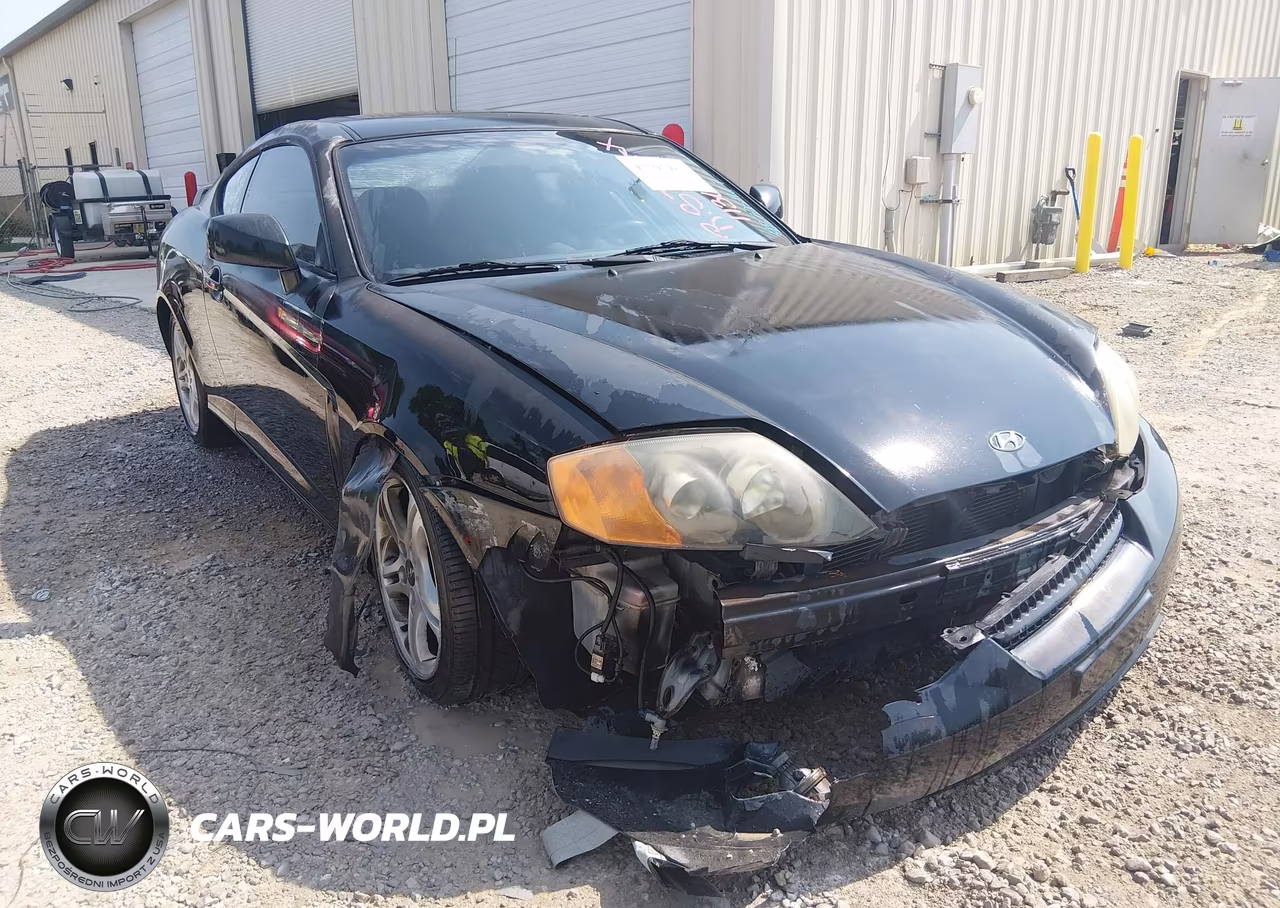 2004 Hyundai Tiburon Gt V6-Gt V6 Special Edition VIN:KMHHN65F74U113667 - 6