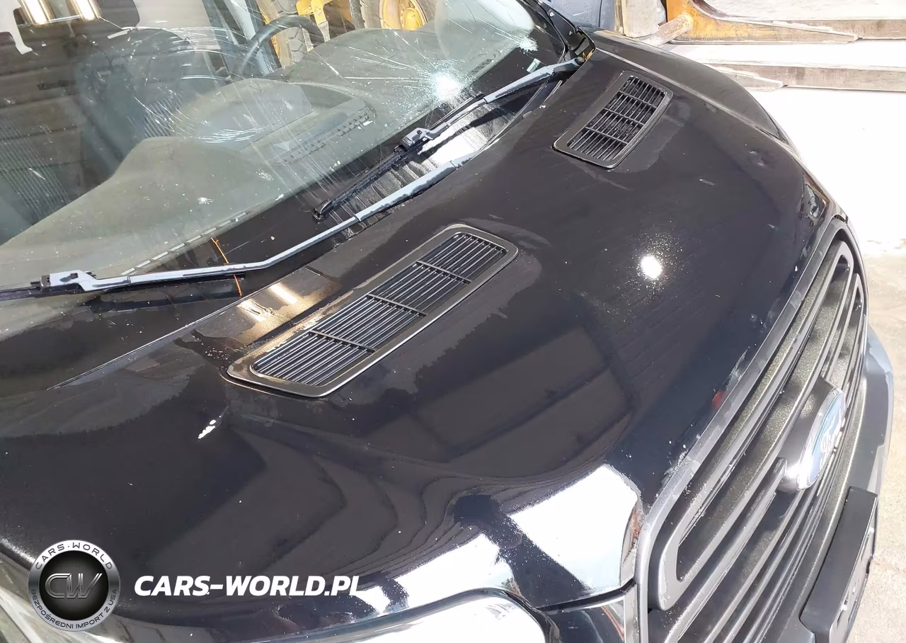 2019 Ford Transit-150 Xl VIN:1FMZK1ZMXKKB28519 - 13
