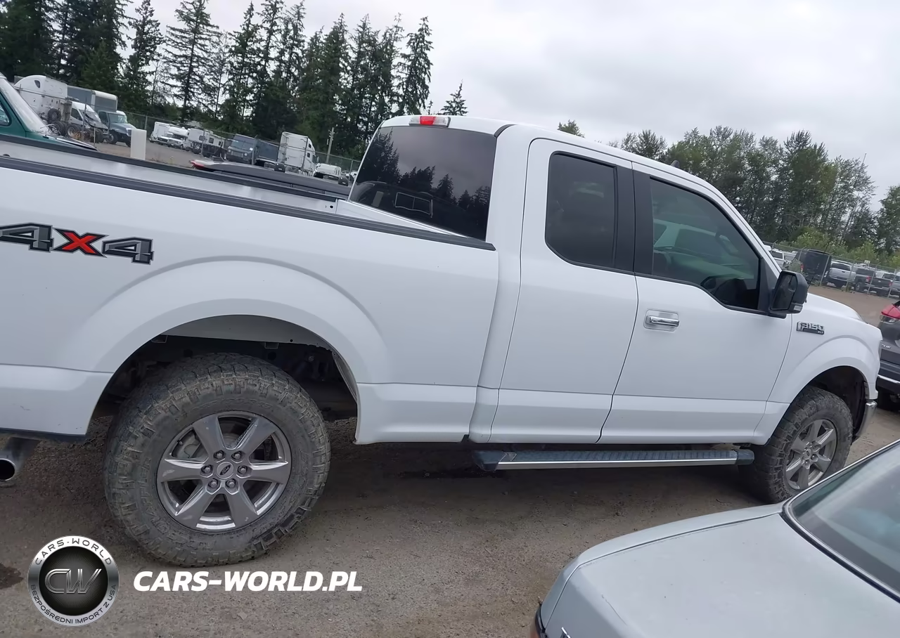 2019 Ford F-150 Xlt VIN:1FTFX1E53KKC23866 - 13