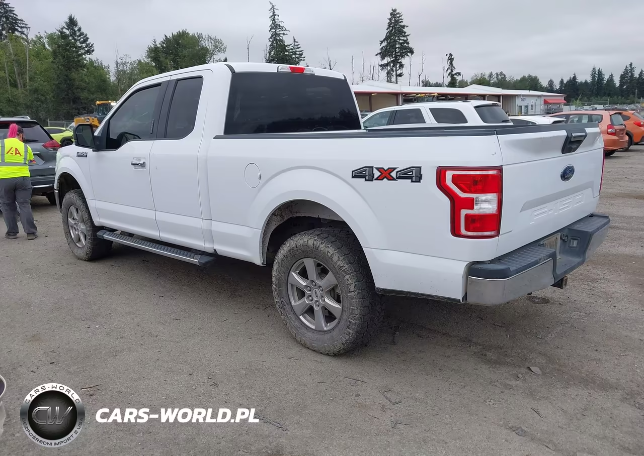 2019 Ford F-150 Xlt VIN:1FTFX1E53KKC23866 - 3