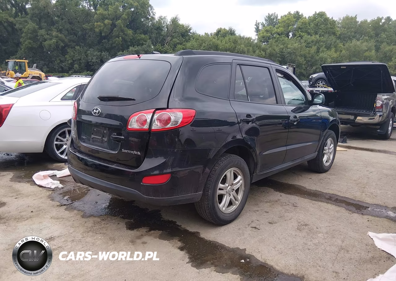 2010 Hyundai Santa Fe Gls VIN:5NMSG3AB0AH346718 - 4