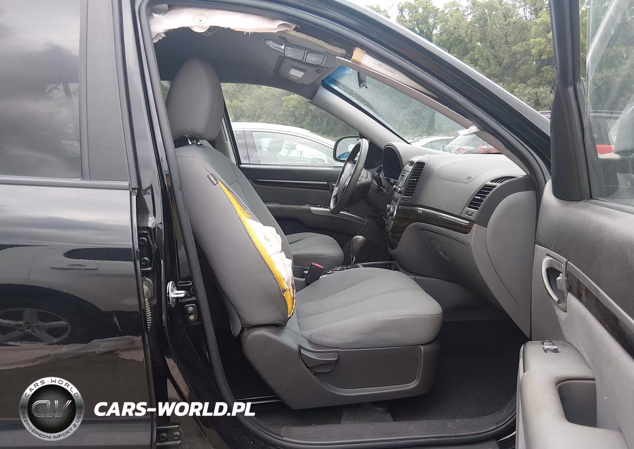 2010 Hyundai Santa Fe Gls VIN:5NMSG3AB0AH346718 - 5