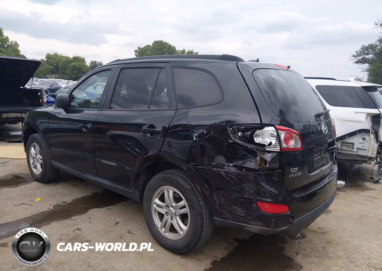 2010 Hyundai Santa Fe Gls VIN:5NMSG3AB0AH346718 - 6