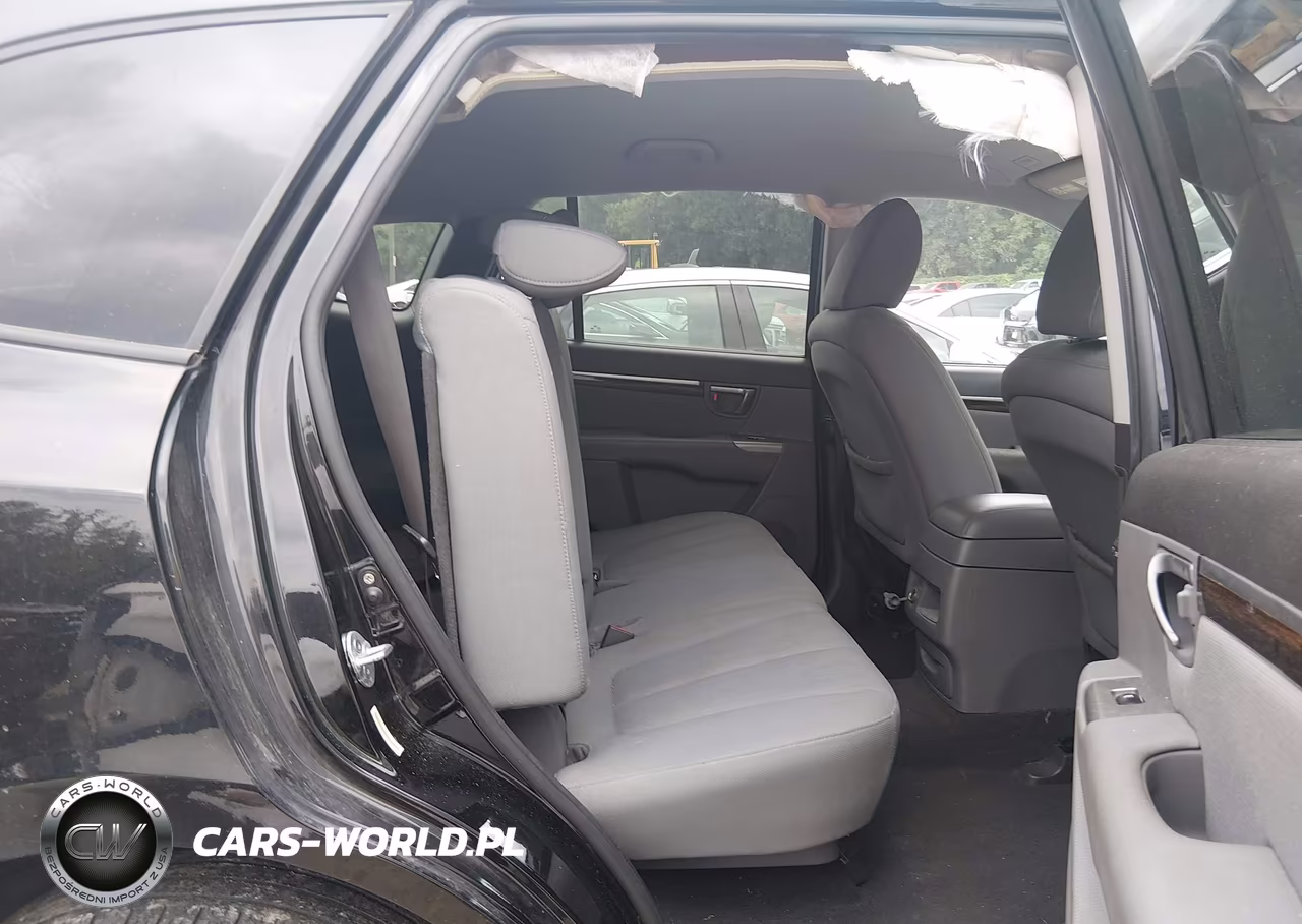 2010 Hyundai Santa Fe Gls VIN:5NMSG3AB0AH346718 - 8