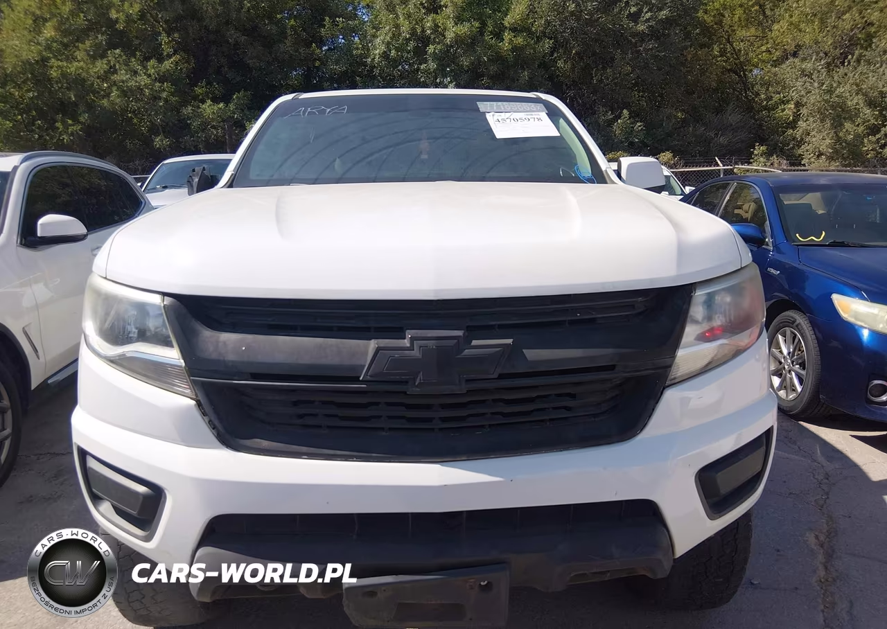2019 Chevrolet Colorado Lt VIN:1GCGTCEN9K1117309 - 12