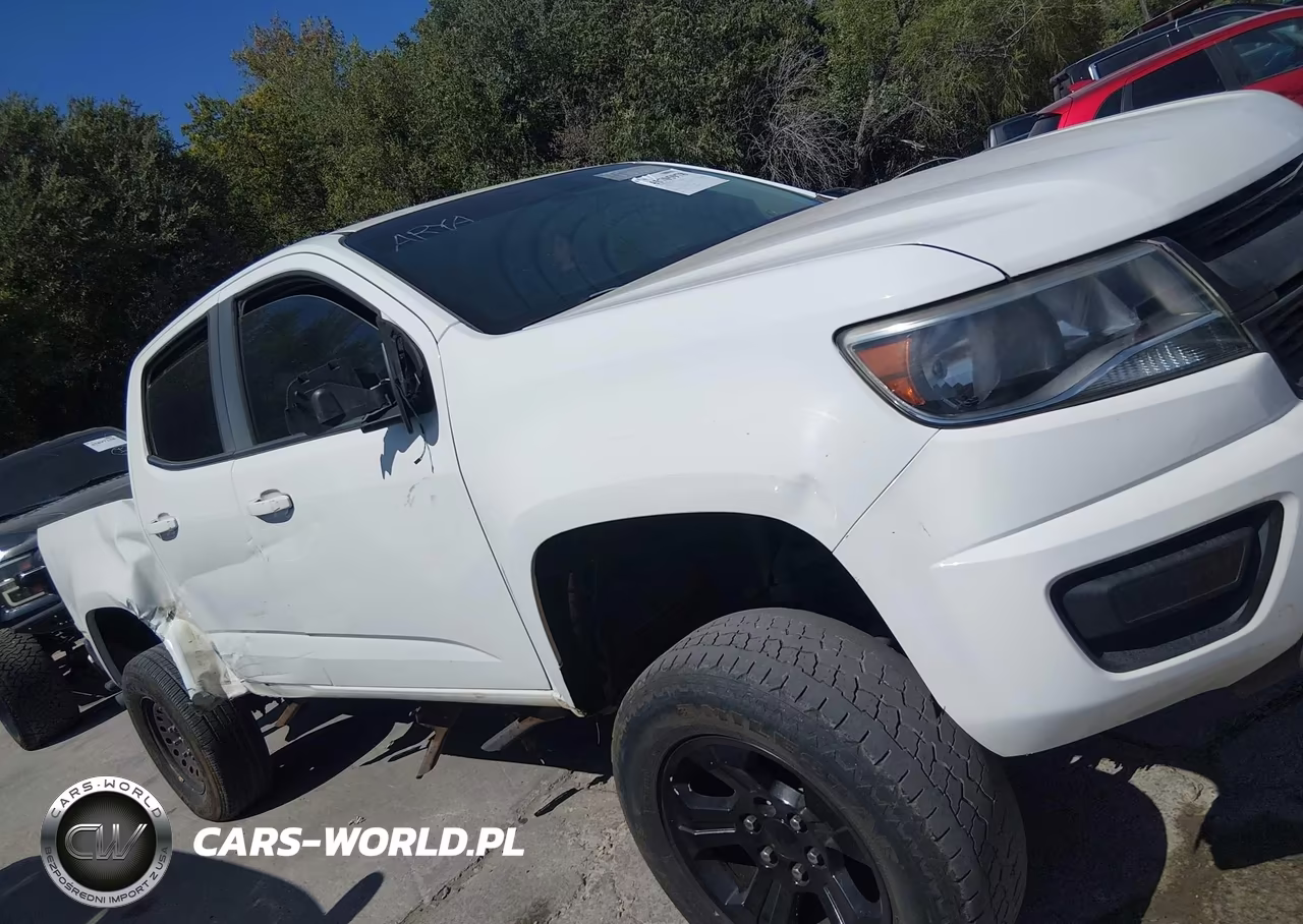 2019 Chevrolet Colorado Lt VIN:1GCGTCEN9K1117309 - 13