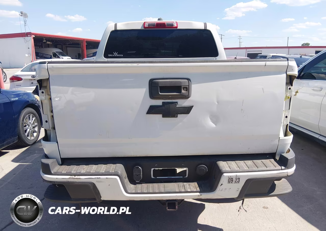 2019 Chevrolet Colorado Lt VIN:1GCGTCEN9K1117309 - 16