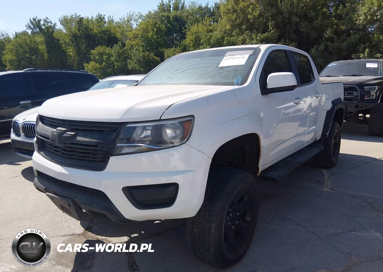 2019 Chevrolet Colorado Lt VIN:1GCGTCEN9K1117309 - 2