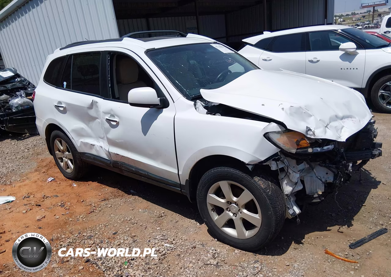 2009 Hyundai Santa Fe Limited VIN:5NMSH13E09H235073 - 14