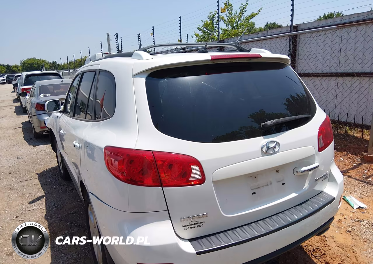 2009 Hyundai Santa Fe Limited VIN:5NMSH13E09H235073 - 3