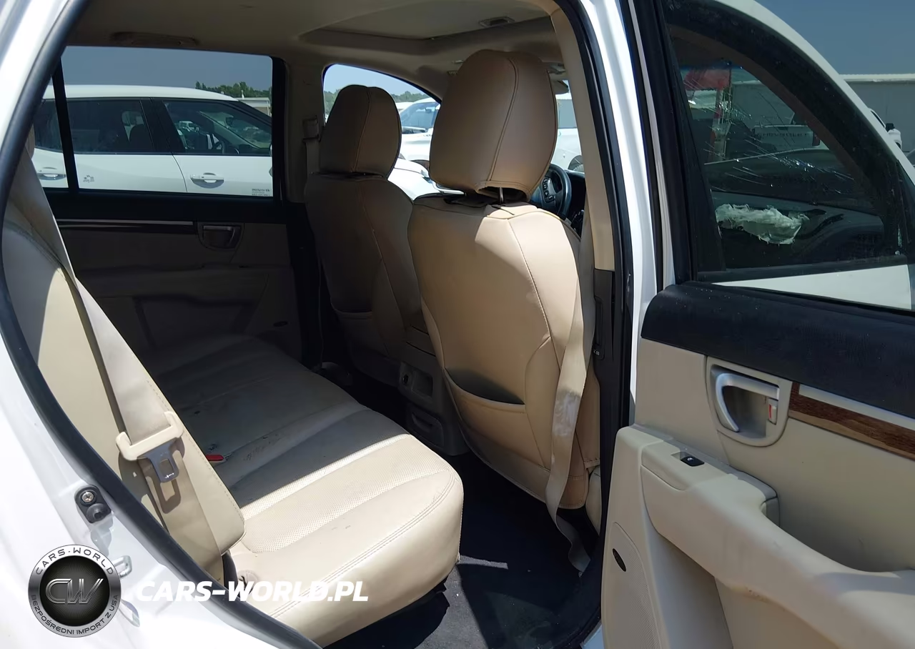 2009 Hyundai Santa Fe Limited VIN:5NMSH13E09H235073 - 8