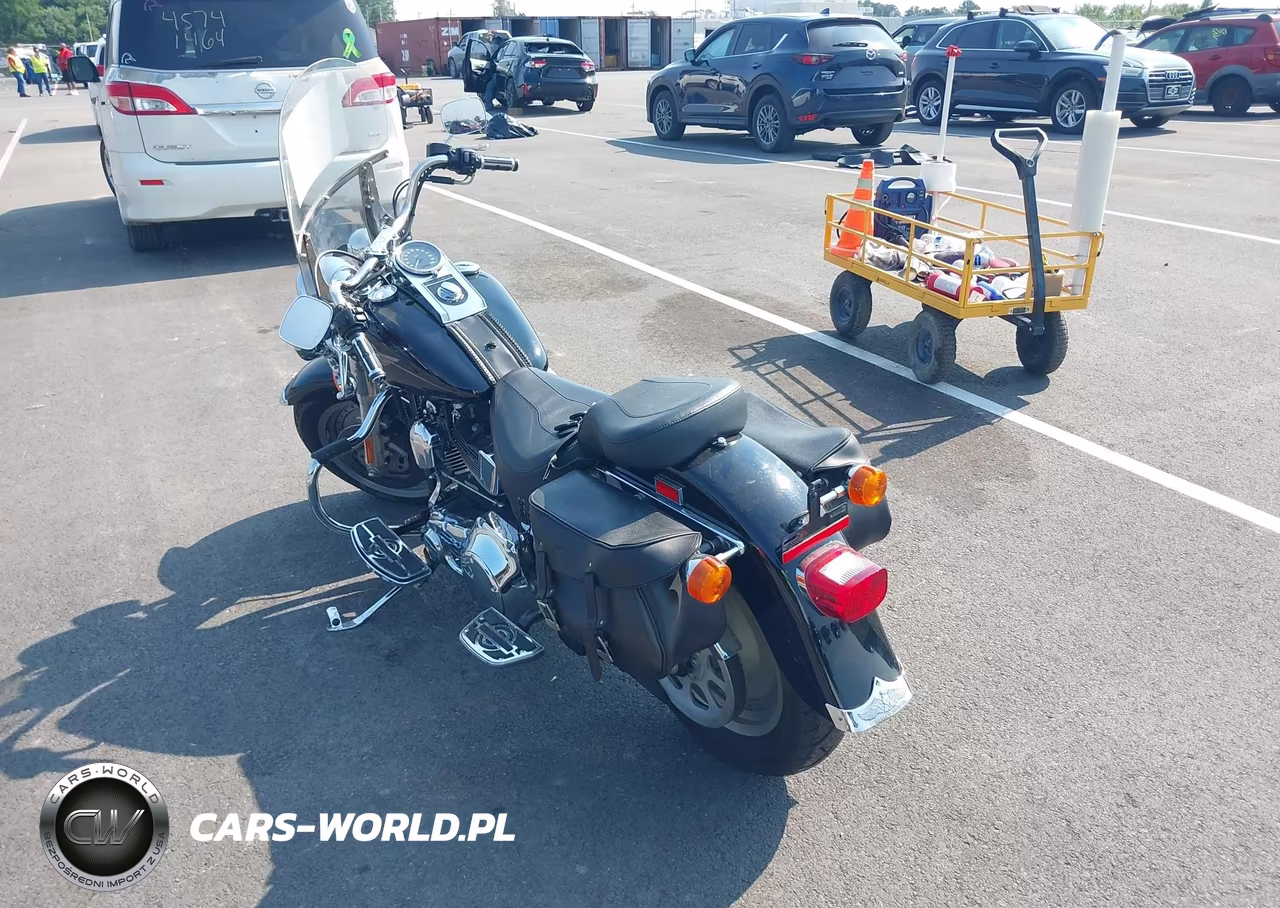2001 Harley-Davidson Flstf VIN:1HD1BMY181Y043621 - 3