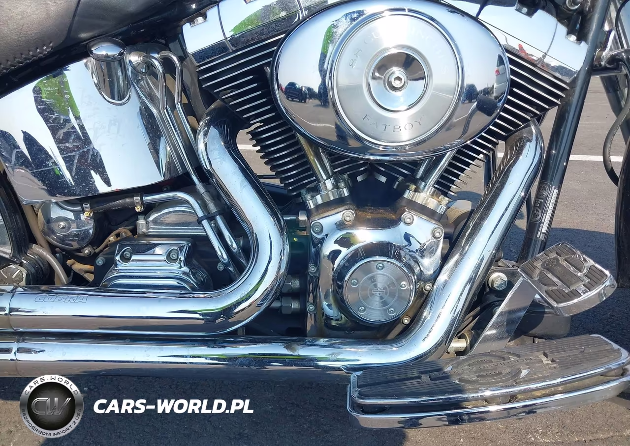2001 Harley-Davidson Flstf VIN:1HD1BMY181Y043621 - 8