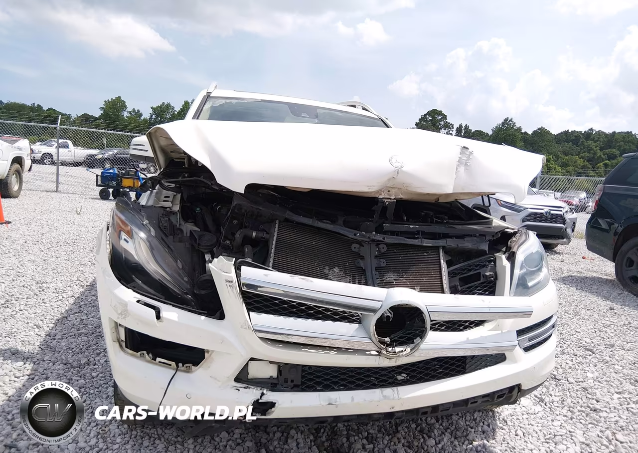 2013 Mercedes-Benz Gl 450 4Matic VIN:4JGDF7CE0DA183234 - 12