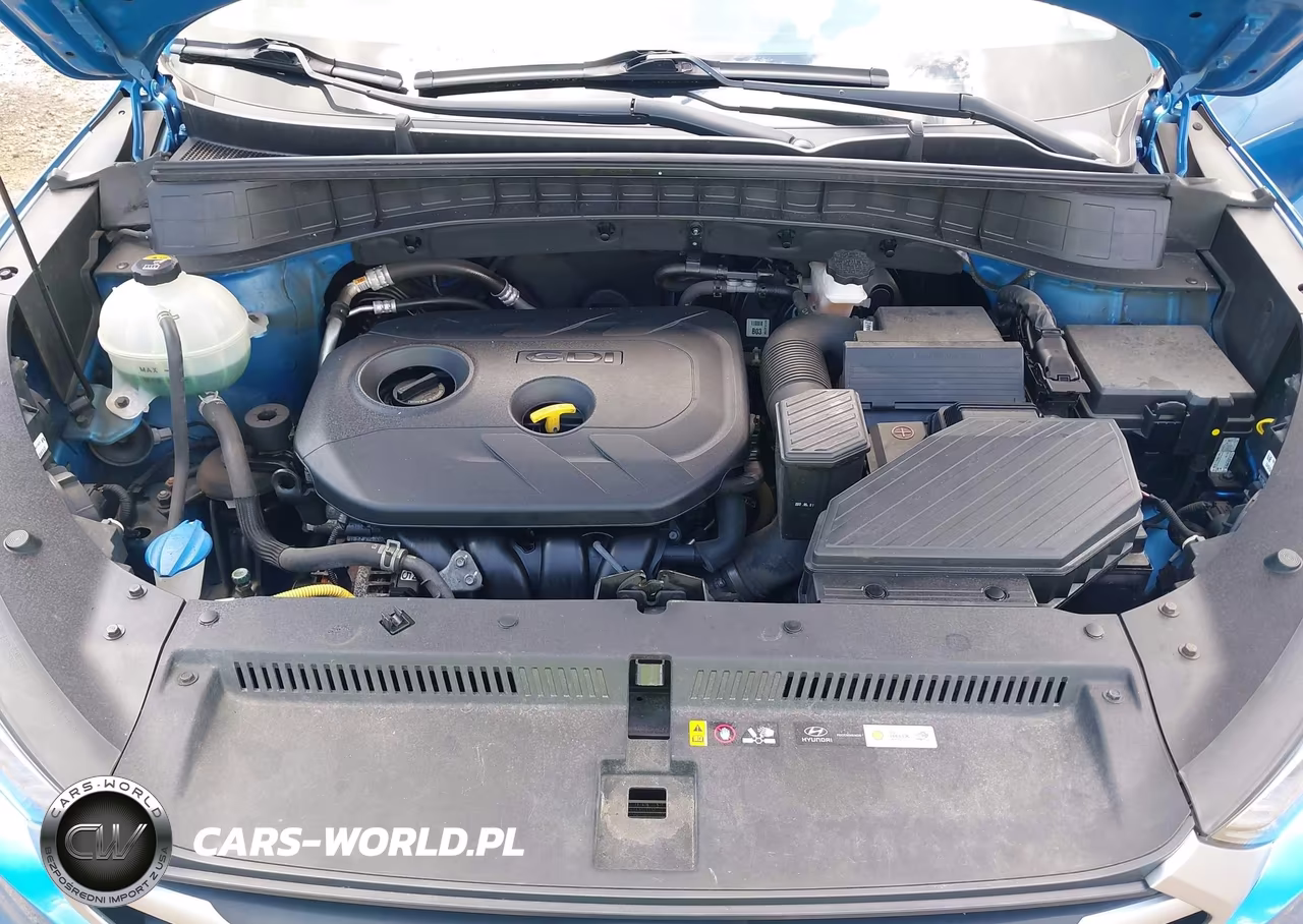 2017 Hyundai Tucson Se VIN:KM8J3CA47HU497451 - 10