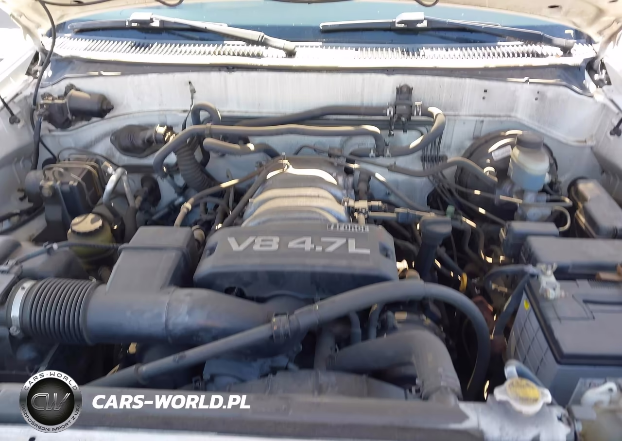 2004 Toyota Sequoia Limited V8 VIN:5TDZT38A44S220144 - 10