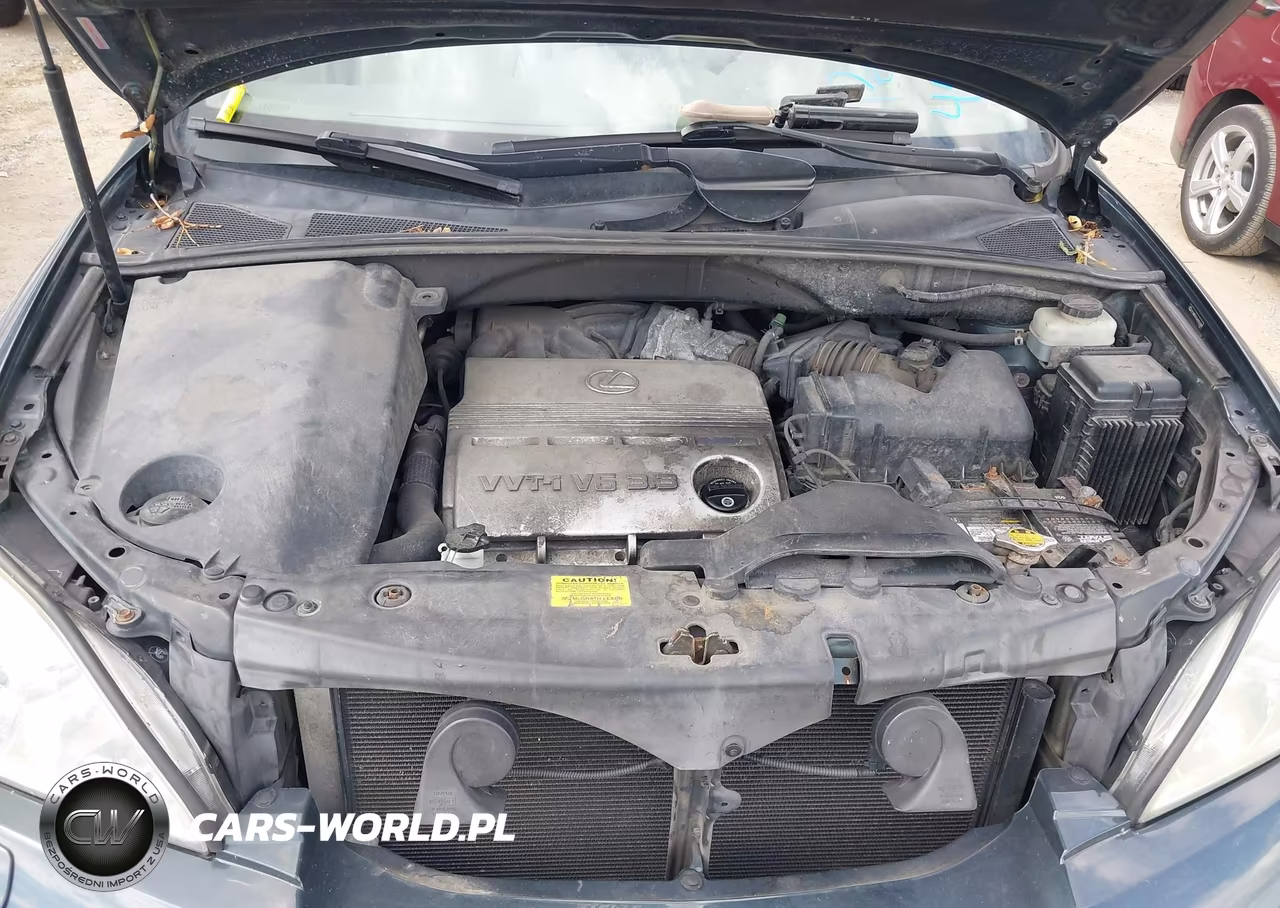 2004 Lexus Rx 330 VIN:JTJHA31U640026088 - 10
