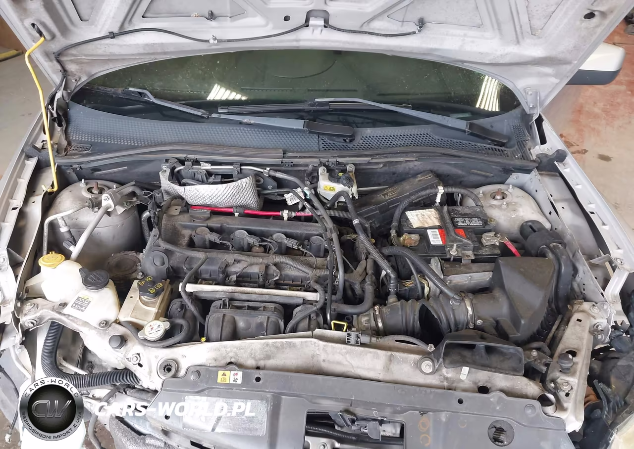 2009 Ford Focus Ses VIN:1FAHP36NX9W219230 - 10