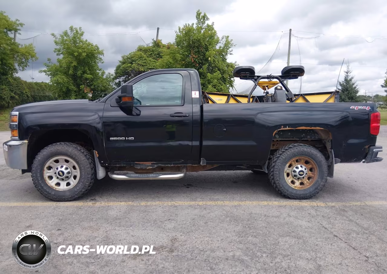 2017 Chevrolet Silverado 3500Hd Work Truck VIN:1GC3KYCG4HZ377999 - 15