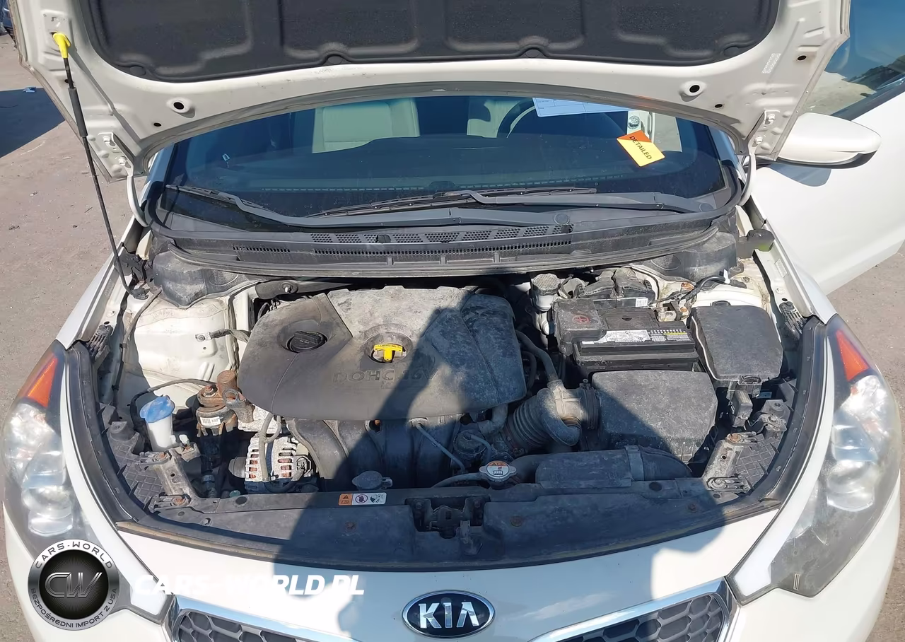 2015 Kia Forte Lx VIN:KNAFK4A61F5388282 - 10