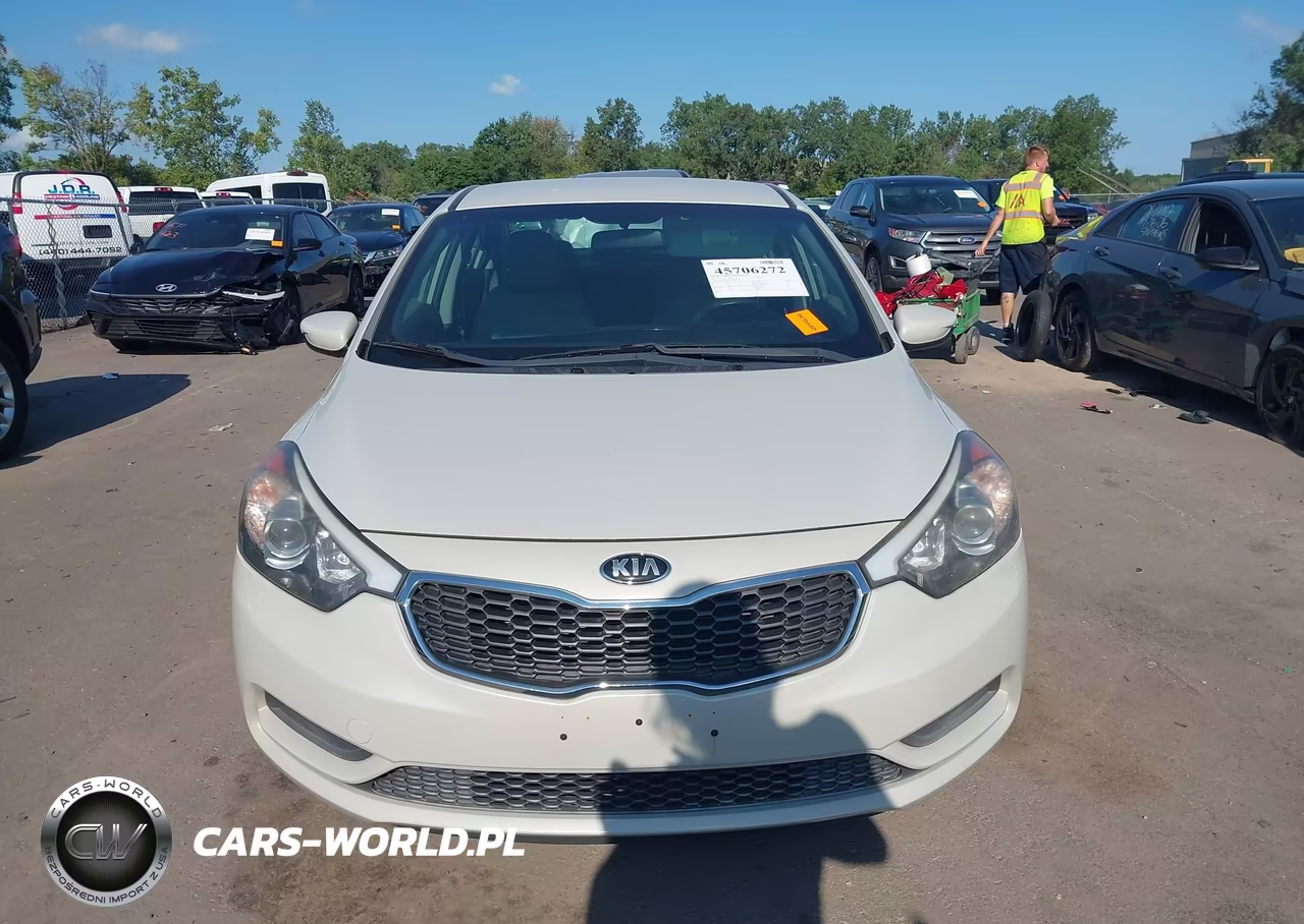 2015 Kia Forte Lx VIN:KNAFK4A61F5388282 - 12