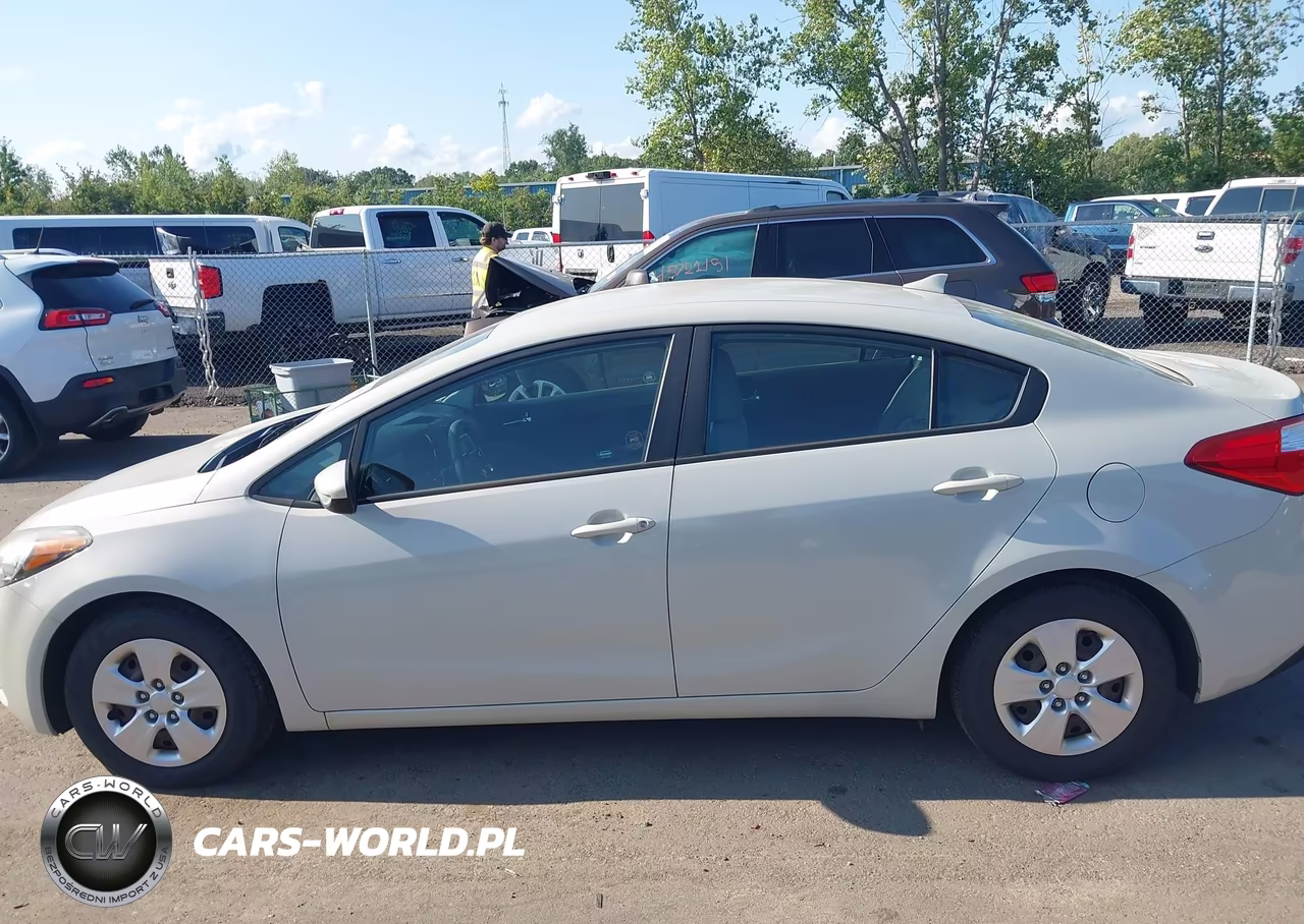 2015 Kia Forte Lx VIN:KNAFK4A61F5388282 - 14