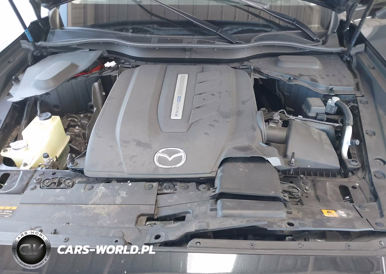 2024 Mazda Cx-90 Phev Premium VIN:JM3KKDHA4R1138520 - 10